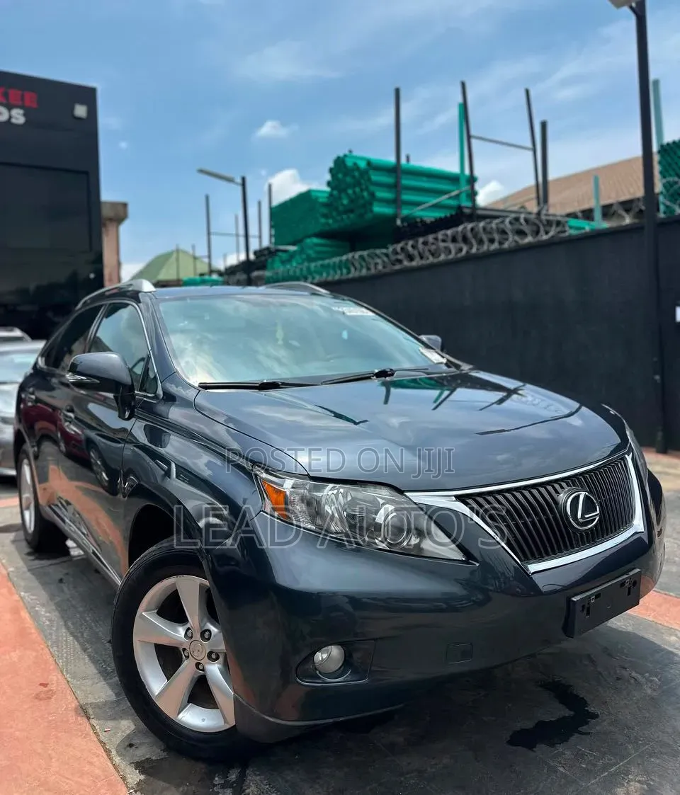 Lexus RX 2010 Gray