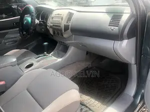 Toyota Tacoma 2010 Beige