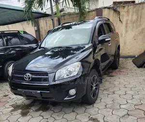 Toyota RAV4 2010 Gray