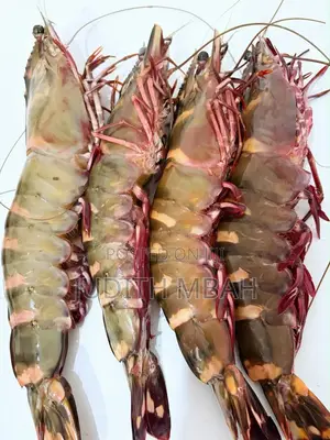 Fresh Live Seafood From the South.