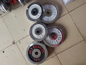 A Pair of 5kg Chrome Weight Plates