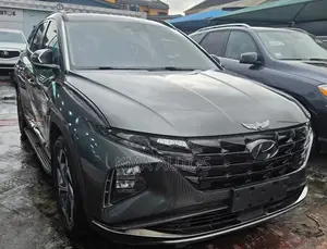 Hyundai Tucson 2023 Gray