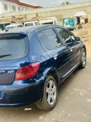 Peugeot 307 2005 Blue