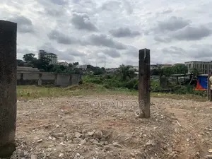 Commercial/Industrail Land