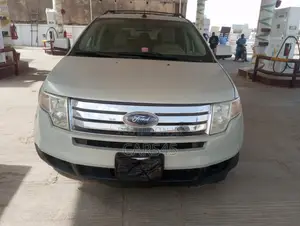 Ford Edge 2009 Silver