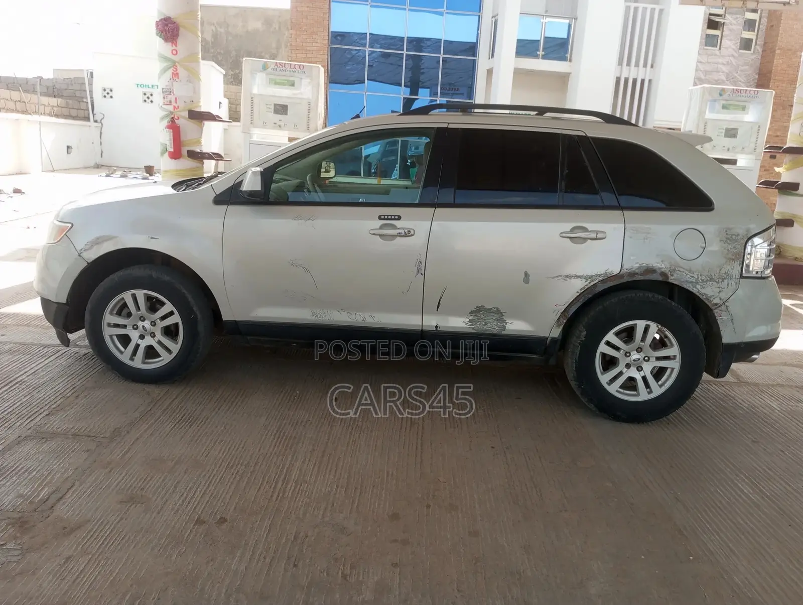 Ford Edge 2009 Silver