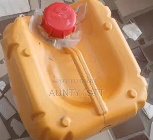 25 Litres Palm Oil