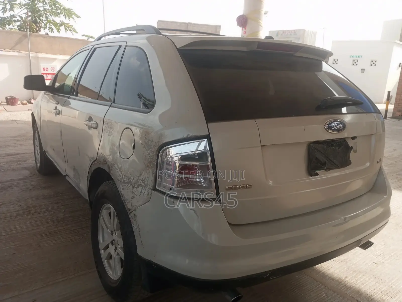 Ford Edge 2009 Silver