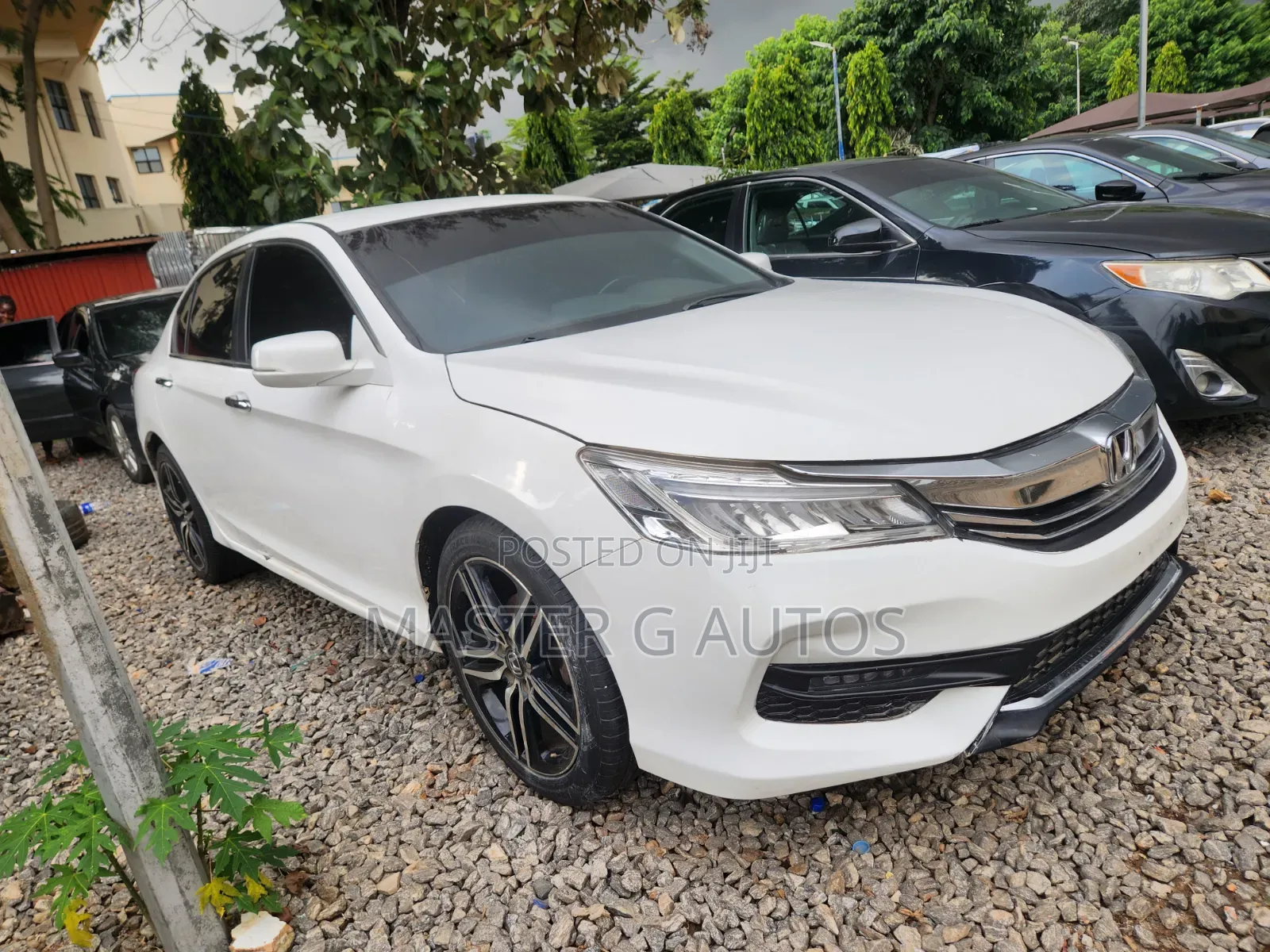 Honda Accord 2013 White