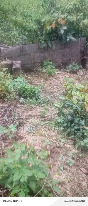 Empty Landscape for Sale