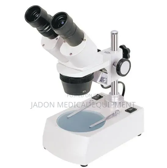 Stereo Microscope