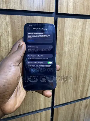 Apple iPhone 13 Pro Max 256 GB Blue