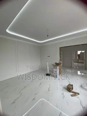 Your Trusted House Painter in Abuja Transforming Dull Walls to Beauty