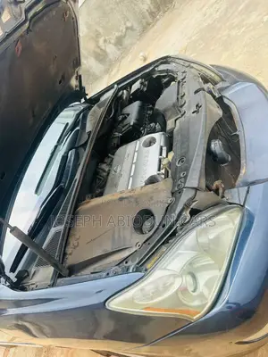 Lexus RX 2005 Gray