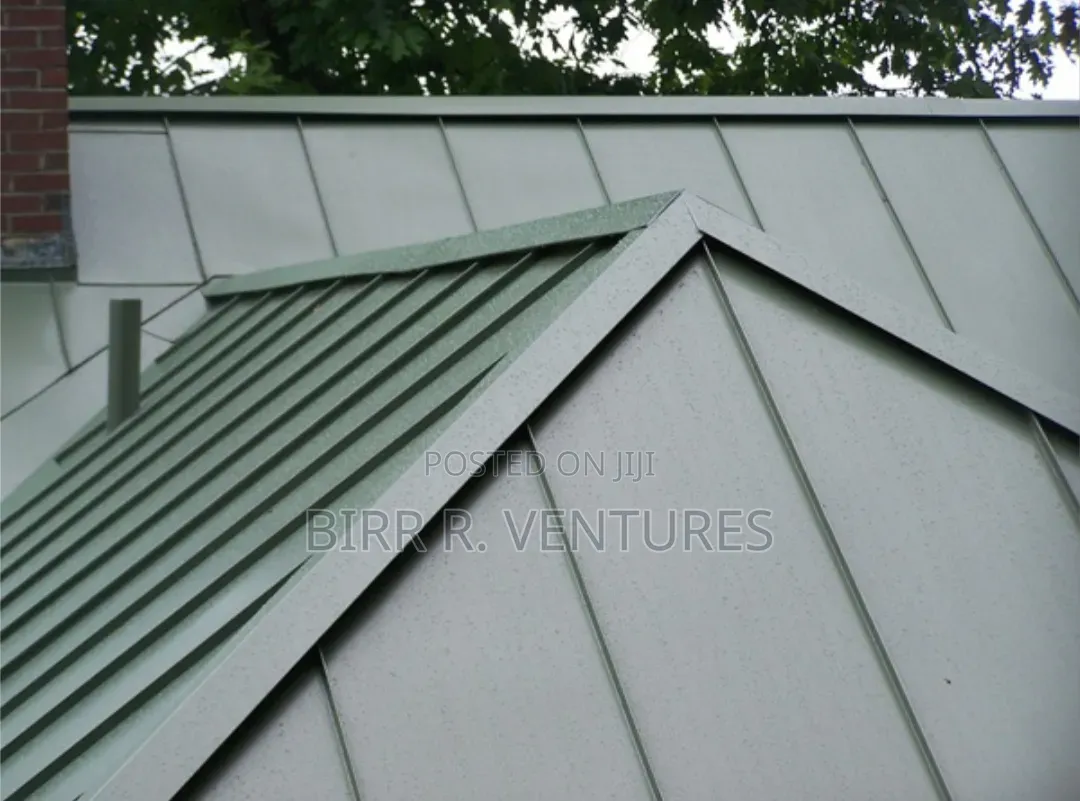 Roofing Services for Building Renovators