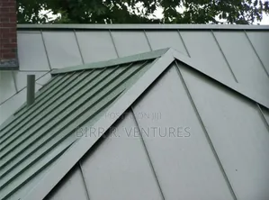 Roofing Services for Building Renovators