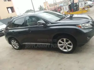 Lexus RX 2010 Gray