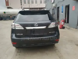 Lexus RX 2010 Gray
