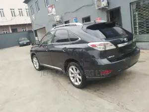 Lexus RX 2010 Gray