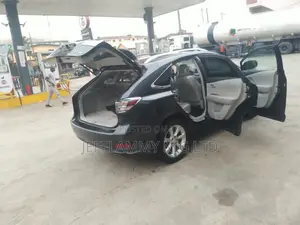 Lexus RX 2010 Gray