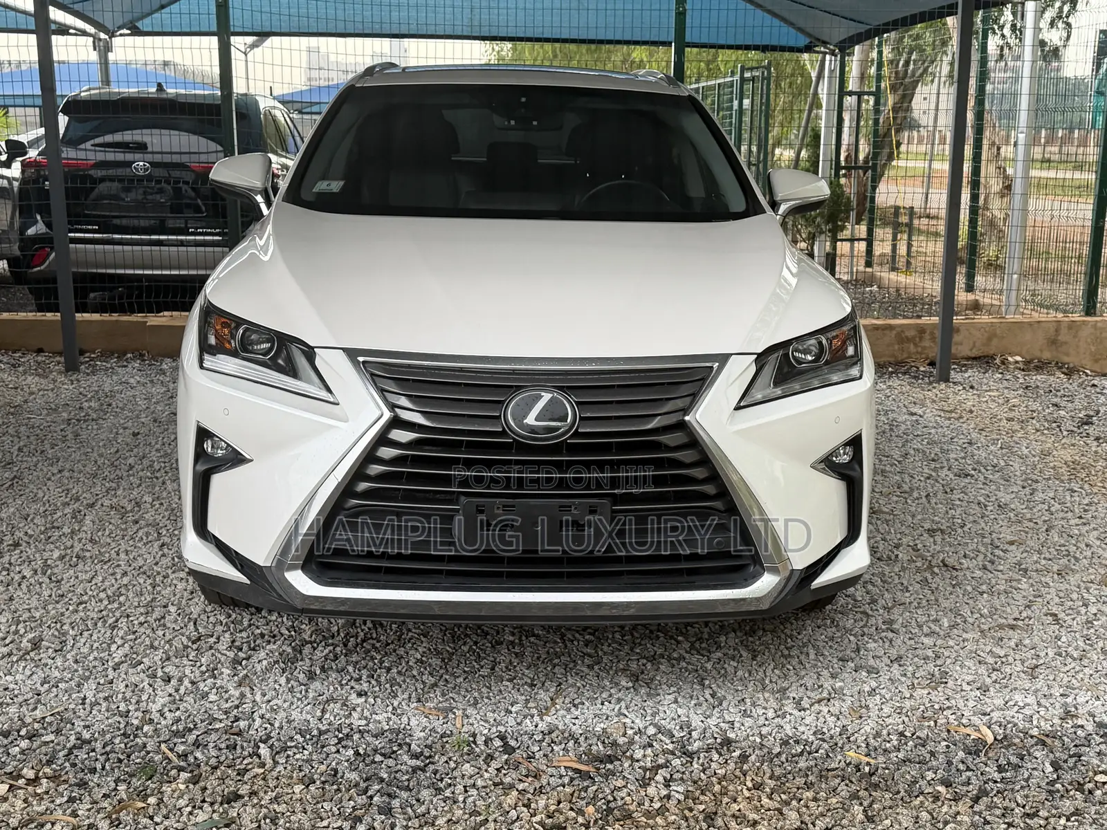 Lexus RX 2019 White
