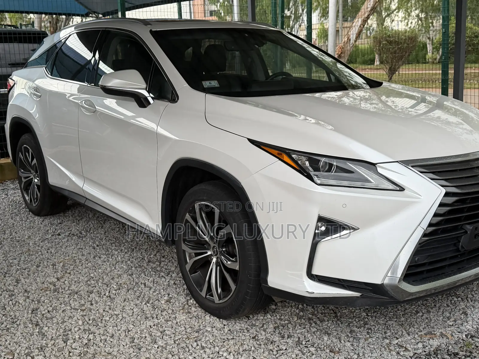 Lexus RX 2019 White