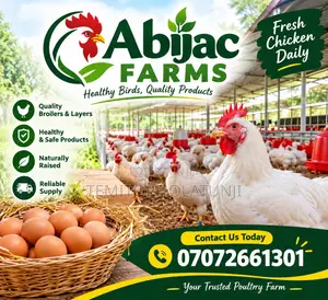 50 Matured Boilers Chickenfor Sale( 2.8kg-3.8kg)-Lagos.