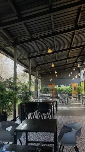Modern Patio Roofing Solutions