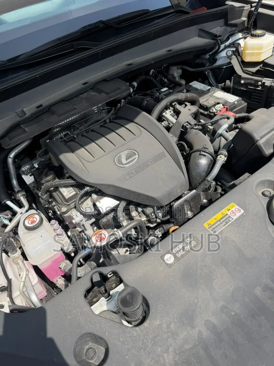 Lexus TX 2024 White