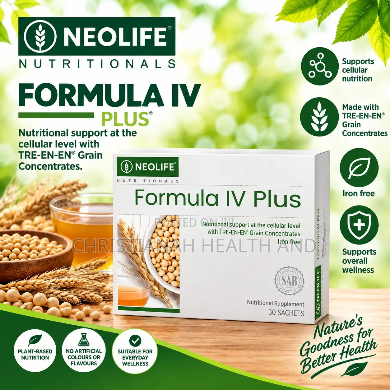 Formula Iv Plus 30 Sachets (Single) Formula 4 Plus. Immune System