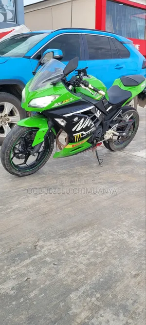 Kawasaki 2018 Green