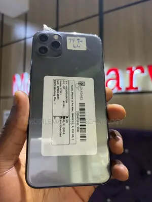 Apple iPhone 11 Pro Max 256 GB Gray