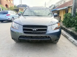 Hyundai Santa Fe 2007 Gray