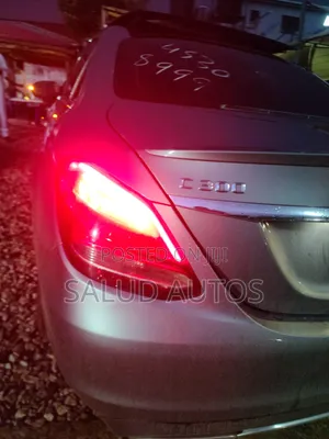 Mercedes-Benz C300 Luxury 4Matic Sedan AWD (2.0L 4cyl 7A) 2016 Gray