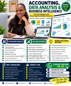 Data Entry/ Data Analysis/Accounting Services