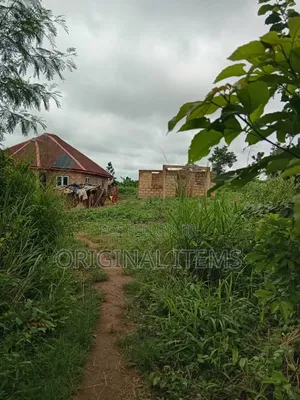 A 3 Plots of Land ( Half Acre) for Sale at Akufo