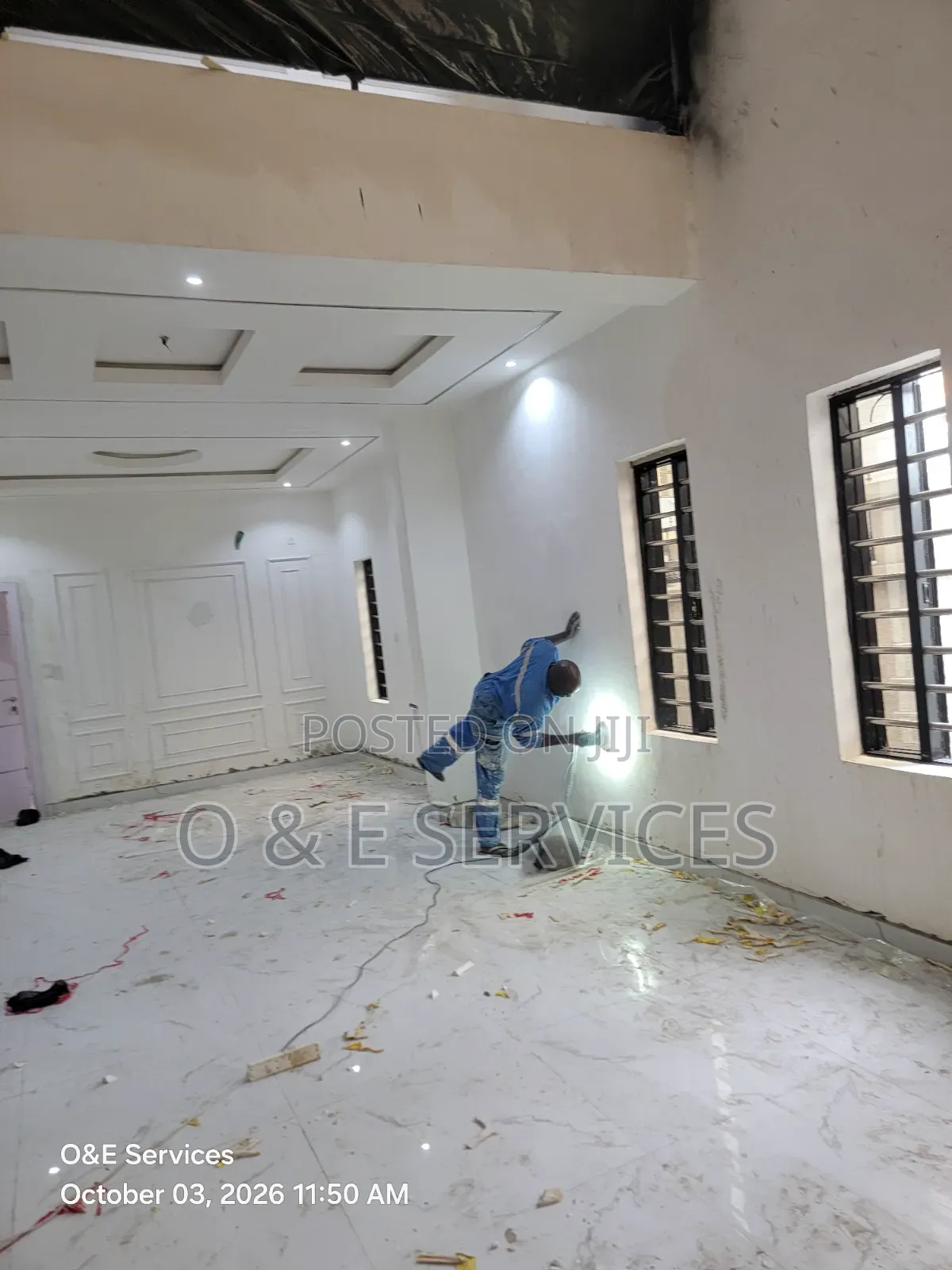 Professional Painter