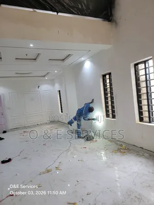 Professional Painter