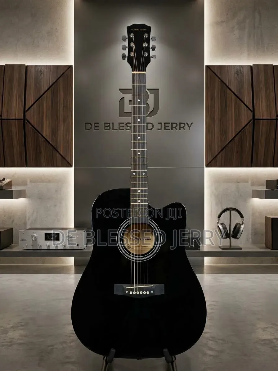 Semi Acoustic Guitar