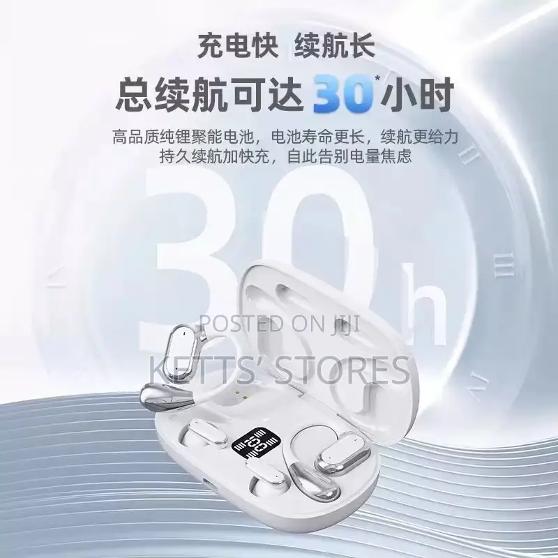 2 in 1 EarPods