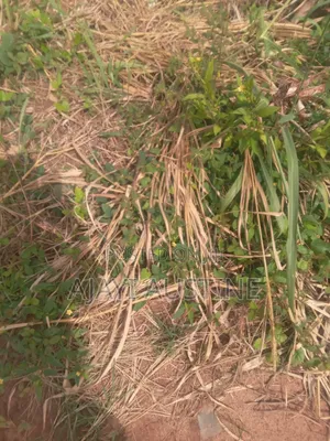 5.7 Hectares of Land at Karasana South for Sale