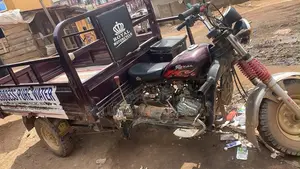 Royal Motorcycle 2026 Brown