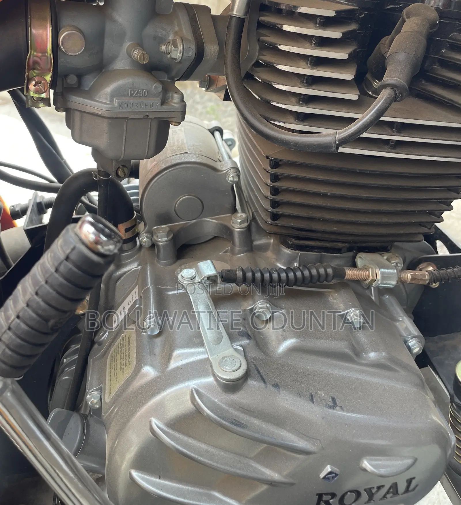 Royal Motorcycle 2026 Brown