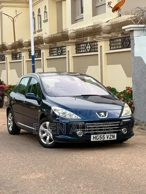 Peugeot 307 1.6 Grand Filou Cool 2008 Blue