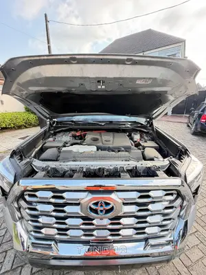 Toyota Tundra 1794 Edition CrewMax 6.5' Bed 2024 Silver