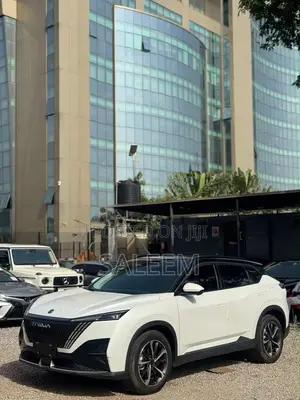 New Dongfeng Rich 2025 White