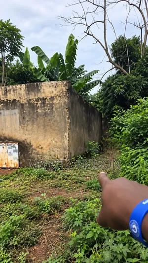 One and Half Plot of Land 860 SQM