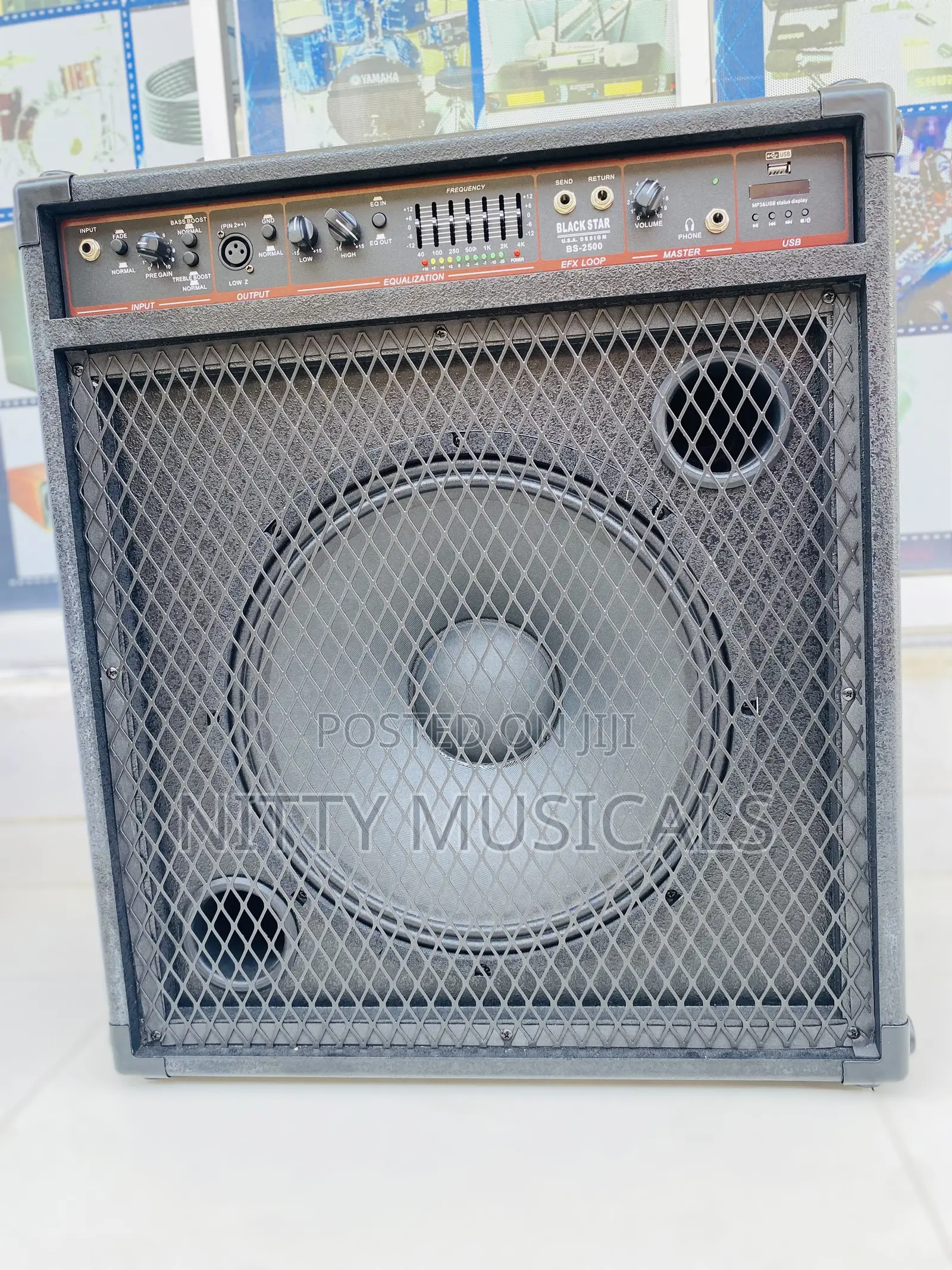 Professional Bass Combo
