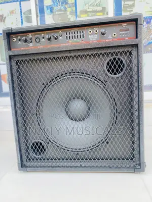 Professional Bass Combo