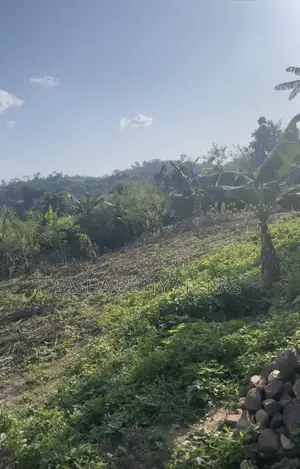 One Plot of Land